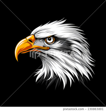 eagle nature bald animal portrait headshot head vector eagle nature bald animal portrait headshot head vector 130863801