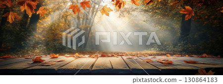 forest scene sunlight trees atmosphere autumn tranquil filtering forest scene sunlight trees atmosphere autumn tranquil filtering 130864183