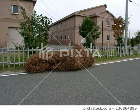Withered vines due to the cold wind. Tone Bizenjima Water Purification Center (November 13, 2010) Was it blown away? 130864899