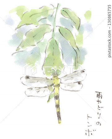 水彩畫：一隻雌性普通鷸在雨天棲息在紫藤葉上 130865735