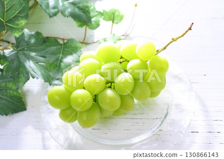Note: The leaves in the background are artificial. Some retouching has been done. Shine Muscat grapes bathed in the morning sun. 130866143
