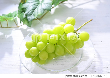 Note: The leaves in the background are artificial. Some retouching has been done. Shine Muscat grapes bathed in the morning sun. 130866152