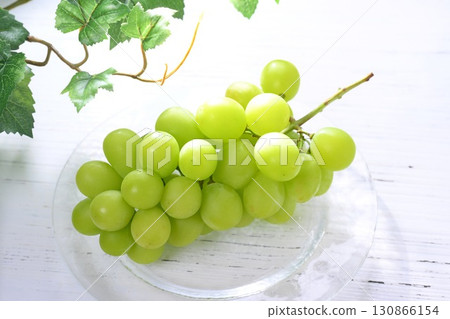 Note: The leaves in the background are artificial. Some retouching has been done. Shine Muscat grapes bathed in the morning sun. 130866154