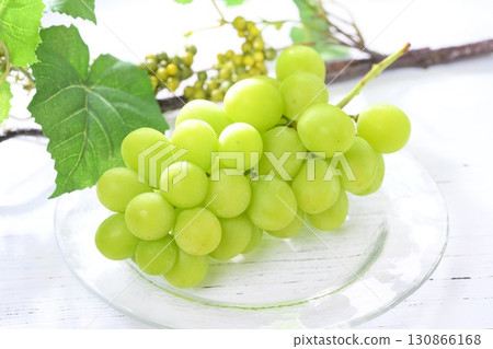 註:背景中的樹葉是人造的。經過了一些修飾。閃耀的麝香葡萄沐浴在清晨的陽光下。 註:背景中的樹葉是人造的。經過了一些修飾。閃耀的麝香葡萄沐浴在清晨的陽光下。 130866168