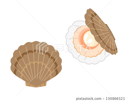 Set of brown scallop illustrations 130866321