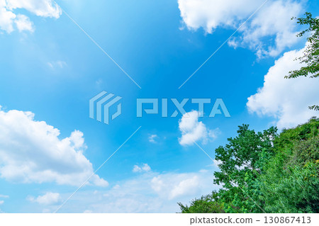Blue sky, clouds and grove Blue sky, clouds and grove 130867413