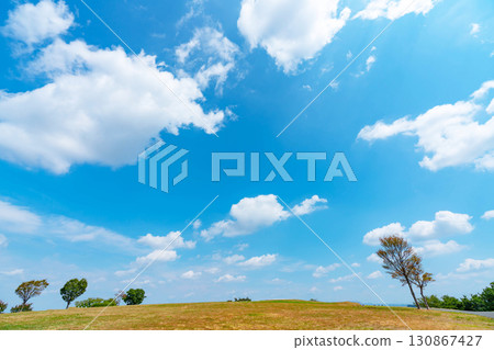 藍天和雲彩和大草原 130867427