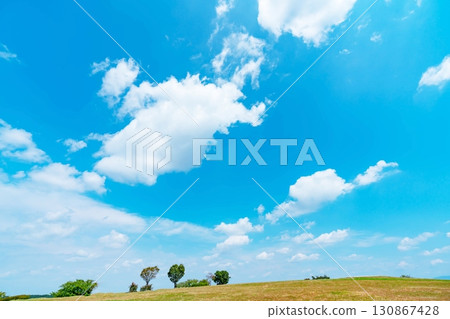 藍天和雲彩和大草原 130867428