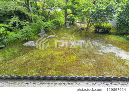 Tofukuji Temple Main Temple Garden, Hasso Garden, North Garden Tofukuji Temple Main Temple Garden, Hasso Garden, North Garden 130867634