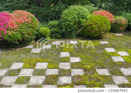Tofukuji Temple Main Garden, North Garden, Small Checkered Garden and Satsuki Flowers 130867641