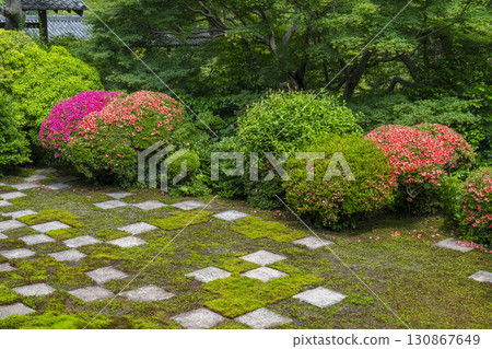 Tofukuji Temple Main Garden, North Garden, Small Checkered Garden and Satsuki Flowers 130867649