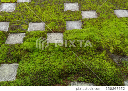 Tofukuji Temple Main Garden North Garden Small Checkerboard Pattern Garden Tofukuji Temple Main Garden North Garden Small Checkerboard Pattern Garden 130867652