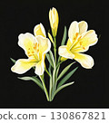 an AI Image Generator, Elegant Illustration of Freesia Flowers 130867821