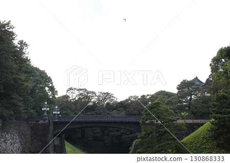 東京都千代田區皇居護城河上的二重橋 東京都千代田區皇居護城河上的二重橋 130868333