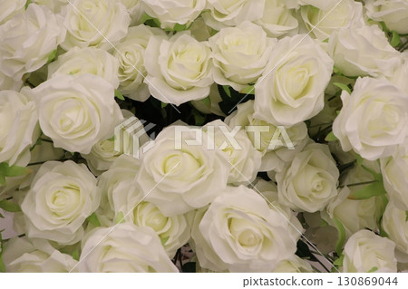 Elegant and Beautiful White Roses Blooming in Abundance for Any Occasion or Celebration 130869044
