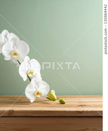 A single white phalaenopsis orchid blossom with delicate petals, isolated against a simple wooden background A single white phalaenopsis orchid blossom with delicate petals, isolated against a simple wooden background 130869442