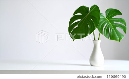 Green sprout with leaves growing in a white vase, a symbol of life and nature Green sprout with leaves growing in a white vase, a symbol of life and nature 130869490