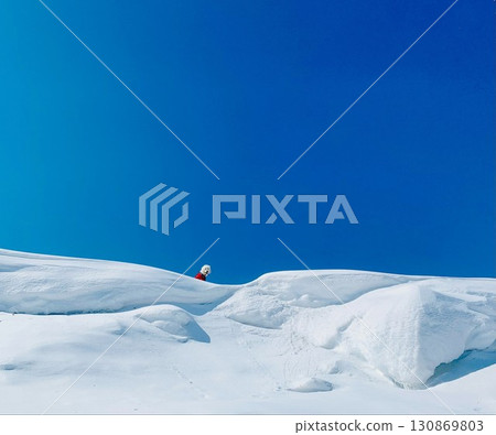 一隻身穿鮮紅色衣服的大狗在新雪和湛藍的天空中格外醒目 130869803