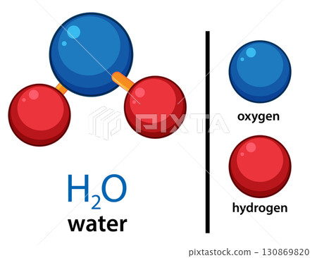 Water Molecule Structure with Oxygen and Hydrogen Atoms Diagram Water Molecule Structure with Oxygen and Hydrogen Atoms Diagram 130869820