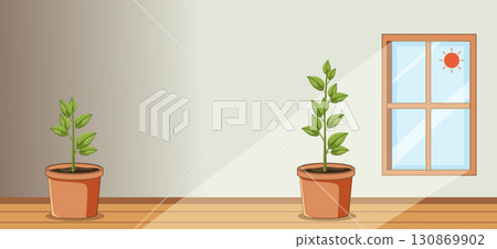 Two Potted Plants Indoors with Sunlight from Window Two Potted Plants Indoors with Sunlight from Window 130869902
