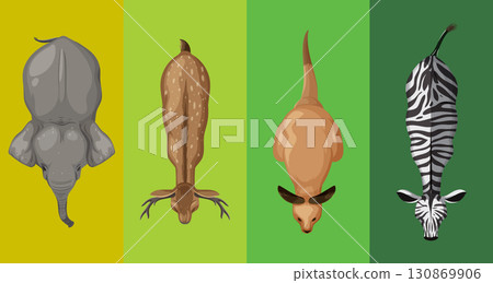 Top View of Diverse Animals 130869906