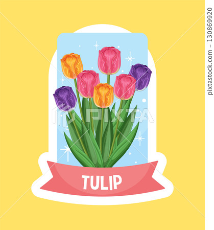 Colorful Tulip Bouquet Vector Illustration 130869920