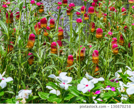 Globetrotter 9-2 130870258