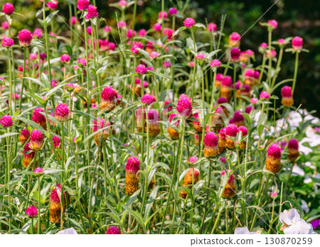 Globetrotter 9-3 130870259