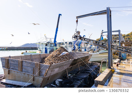 牡蠣著陸 130870332