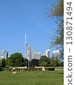 藍天下的公園景色 130871494