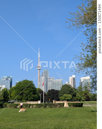 藍天下的公園景色 130871494