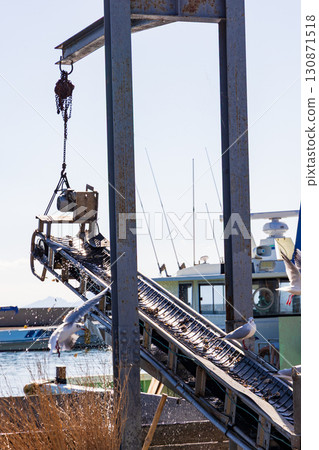 Oyster landing 130871518