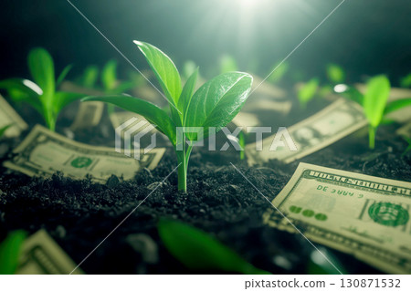 A green plant growing from soil with money bills surrounding it. A green plant growing from soil with money bills surrounding it. 130871532
