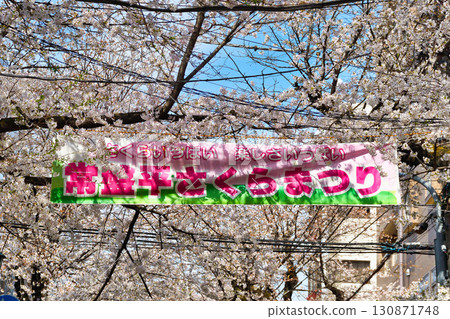 Tokiwahira Sakura Festival（千葉縣松戶市） 130871748