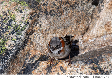 Hiking the W-Trek in Torres Del Paine 130871767