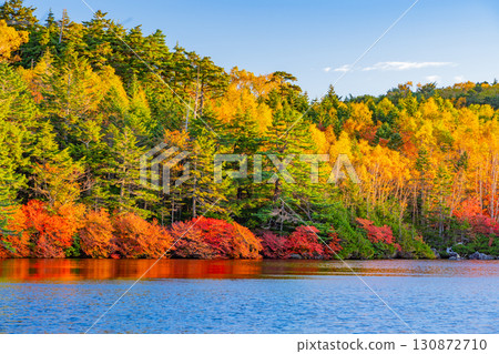 <Nagano Prefecture> Shirakomi Pond and autumn leaves along the lakeside <Nagano Prefecture> Shirakomi Pond and autumn leaves along the lakeside 130872710