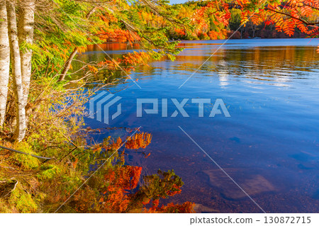 <長野縣>白子池與湖畔紅葉 <長野縣>白子池與湖畔紅葉 130872715