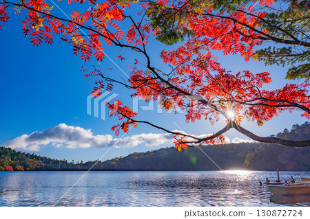 <長野縣>白子池與湖畔紅葉 130872724