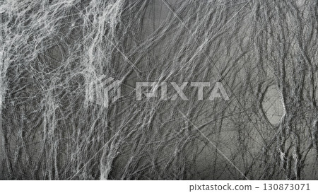 Spooky and creepy cobweb or spider web in the black wall background. The scene is scary and mysterious. Copy Space. Wallpaper or abstract Halloween or zombie background Spooky and creepy cobweb or spider web in the black wall background. The scene is scary and mysterious. Copy Space. Wallpaper or abstract Halloween or zombie background 130873071