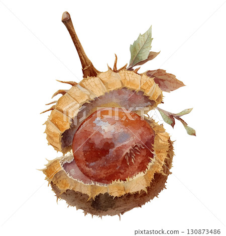 秋葉和栗子 130873486