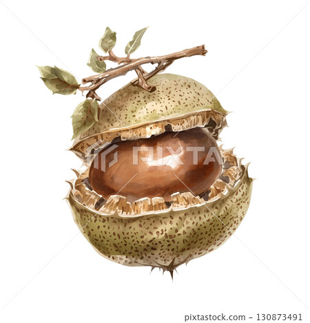 秋味栗子果 130873491
