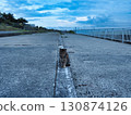 Cat near the coast 130874126