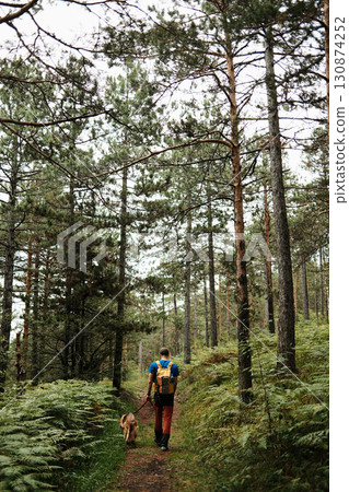 Man walking with a German Shepherd dog on a forest trail in Divcibare, Serbia. Rear view. Hiking and travel with pet concept 130874252