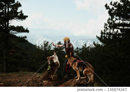 Woman training her Australian Shepherd while German Shepherd watches during a mountain hike in Divcibare, Serbia. Hiking with pets concept 130874267