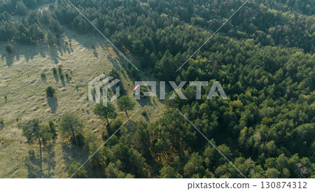 Aerial view of a small red-roof house in a meadow surrounded by forest in Divcibare, Serbia 130874312