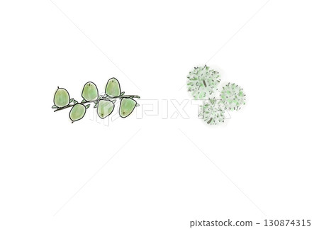 Digital illustration of persimmon and chestnut 130874315