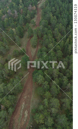 Drone view of a forest hiking trail in summer season. Divcibare, Serbia, winding road through dense green pine trees 130874319
