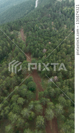 Drone view of a forest hiking trail in summer season. Divcibare, Serbia, winding road through dense green pine trees 130874321