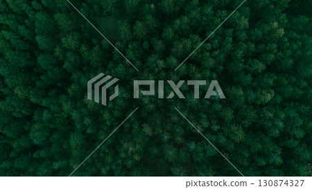 Top-down drone view of dense green forest in Divcibare, Serbia, showing rich natural wilderness. Minimalistic natural background Top-down drone view of dense green forest in Divcibare, Serbia, showing rich natural wilderness. Minimalistic natural background 130874327