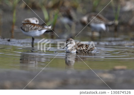 東念⑯(北海道) 東念⑯(北海道) 130874526